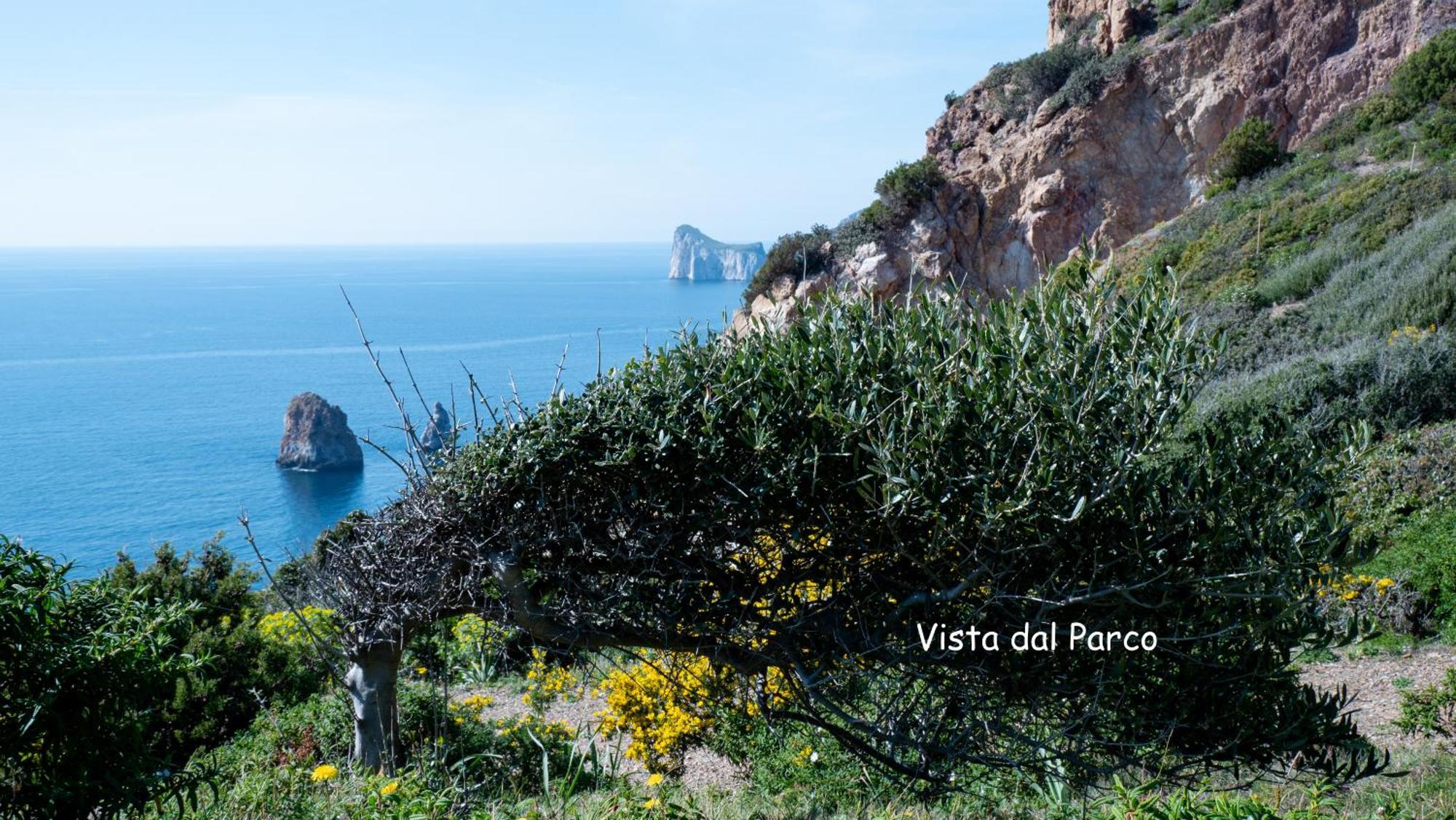 Il Dolce Risveglio Tanca Piras Villa Nebida Eksteriør bilde