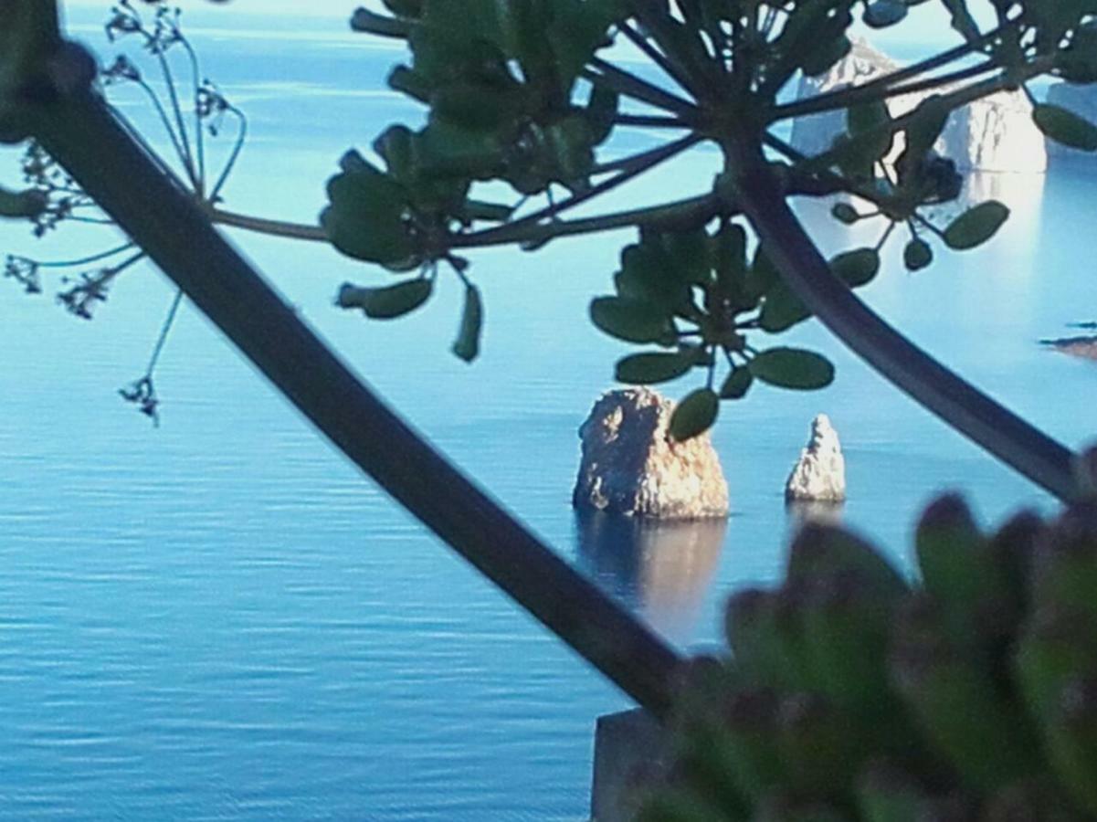 Il Dolce Risveglio Tanca Piras Villa Nebida Eksteriør bilde